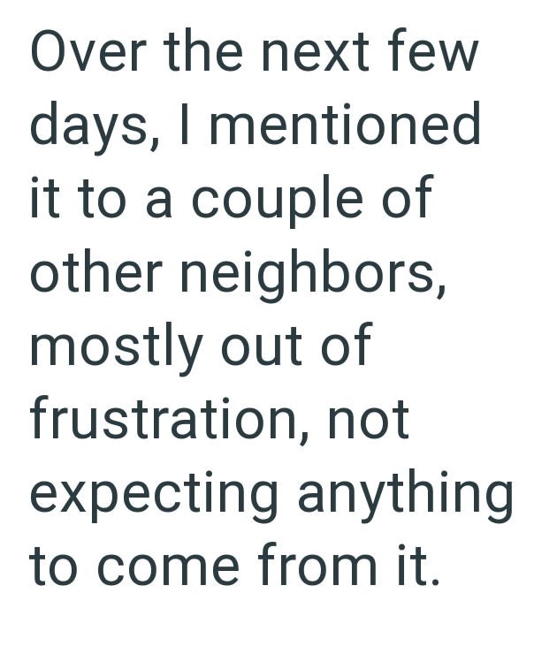 Over the next few days, I mentioned it to a couple of other neighbors, mostly out of frustration, not expecting anything to come from it.
