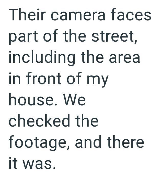 Their camera faces part of the street, including the area in front of my house. We checked the footage, and there it was.