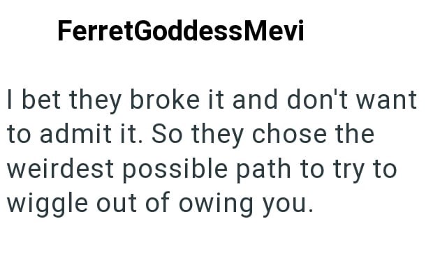 FerretGoddess Mevi I bet they broke it and don't want to admit it. So they chose the weirdest possible path to try to wiggle out of owing you.