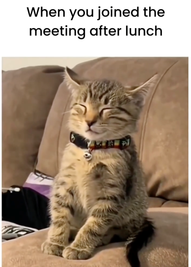 When you joined the meeting after lunch