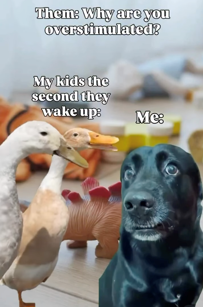 Them: Why are you overstimulated? My kids the second they wake up: Me: