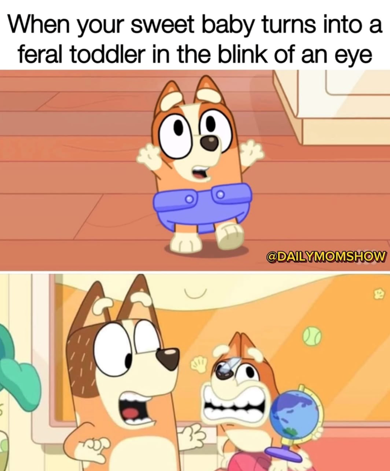 When your sweet baby turns into a feral toddler in the blink of an eye @DAILYMOMSHOW