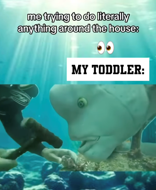 me trying to do literally anything around the house: MY TODDLER: