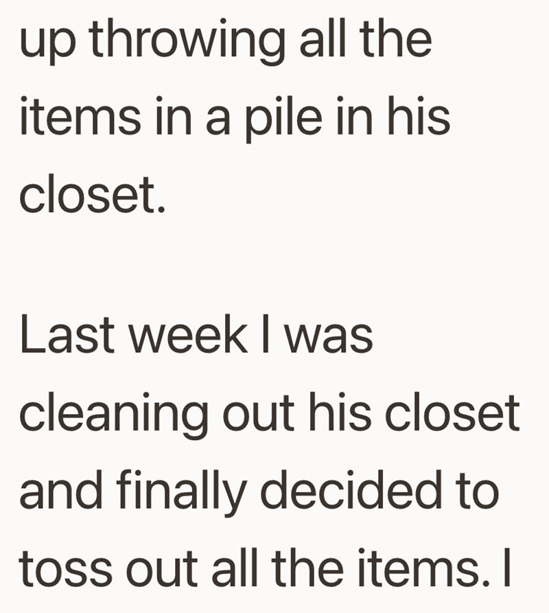 up throwing all the items in a pile in his closet. Last week I was cleaning out his closet and finally decided to toss out all the items. I