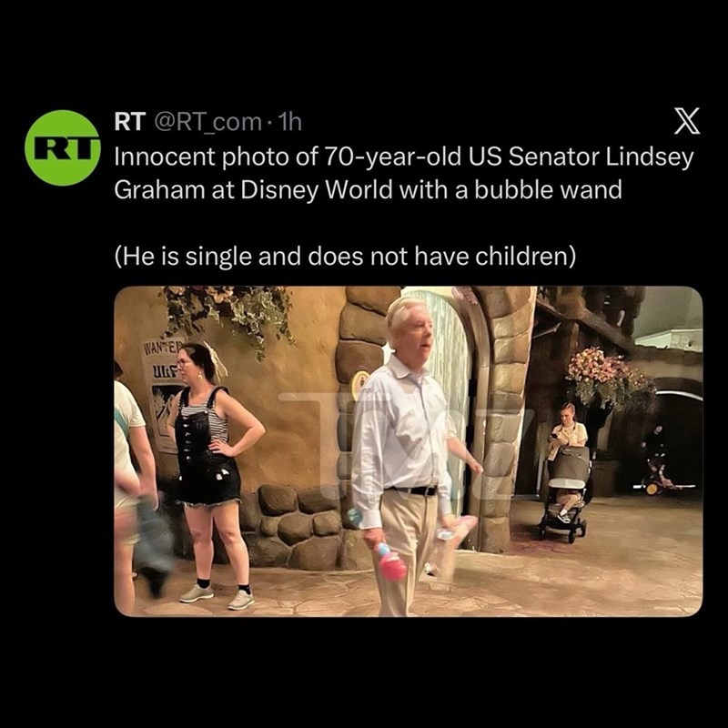 RT @RT_com⚫1h X RT Innocent photo of 70-year-old US Senator Lindsey Graham at Disney World with a bubble wand (He is single and does not have children) WANTED ULF