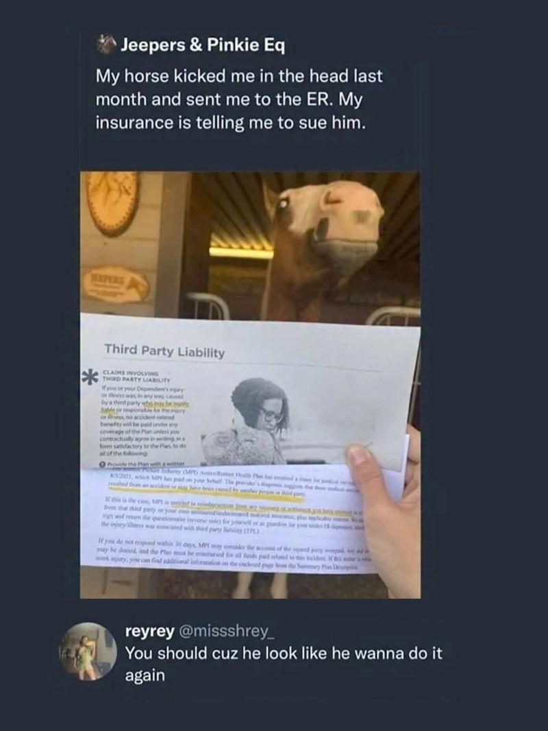 Jeepers & Pinkie Eq My horse kicked me in the head last month and sent me to the ER. My insurance is telling me to sue him. HEAPERS * Third Party Liability CLAINS INVOLVING THIRD PARTY LIABILITY If you or your Dependents ingry iness was in any was caused by a third party Sable or responsible for or diness, no acodent-related benefits will be p coverage of the P contractually c form satisfactory to all of the flowe O Provide the Plan with a written y OPO AP has 122021, which MPY pd on your behalf