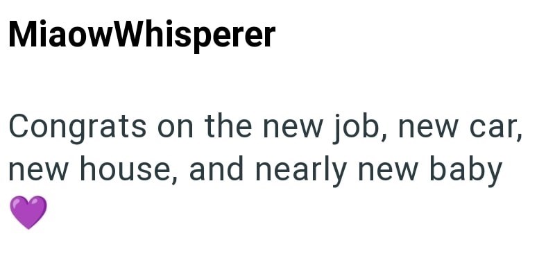 MiaowWhisperer Congrats on the new job, new car, new house, and nearly new baby