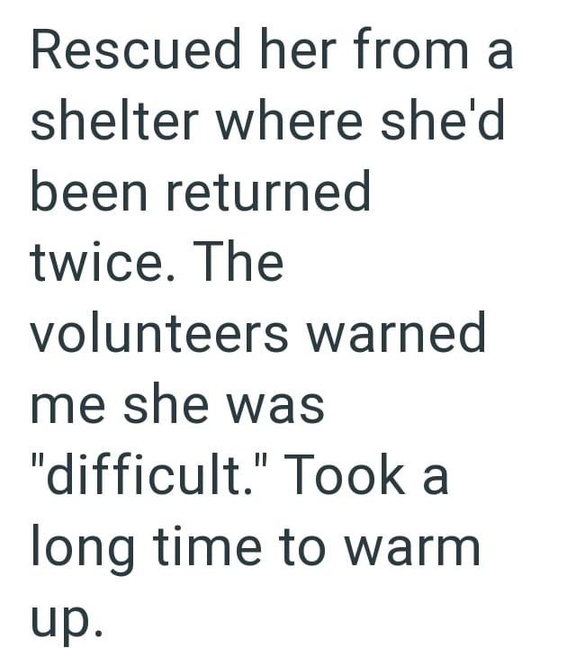 Rescued her from a shelter where she'd been returned twice. The volunteers warned me she was "difficult." Took a long time to warm up.