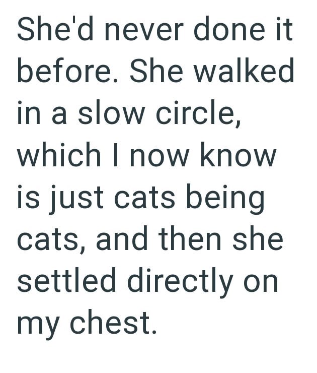 She'd never done it before. She walked in a slow circle, which I now know is just cats being cats, and then she settled directly on my chest.