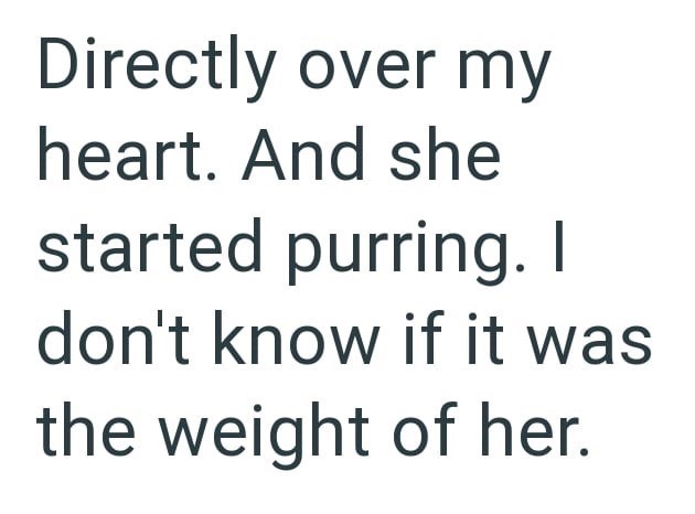 Directly over my heart. And she started purring. I don't know if it was the weight of her.