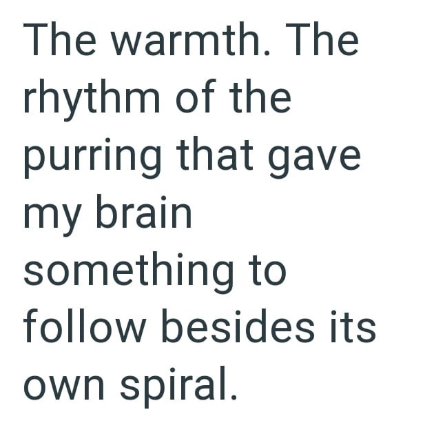 The warmth. The rhythm of the purring that gave my brain something to follow besides its own spiral.