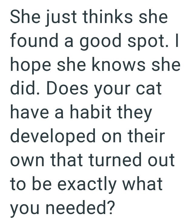She just thinks she found a good spot. I hope she knows she did. Does your cat have a habit they developed on their own that turned out to be exactly what you needed?