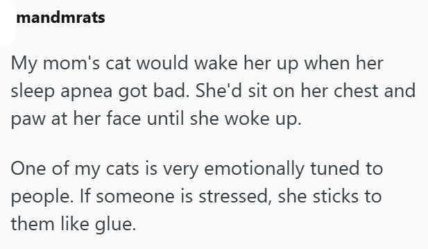 mandmrats My mom's cat would wake her up when her sleep apnea got bad. She'd sit on her chest and paw at her face until she woke up. One of my cats is very emotionally tuned to people. If someone is stressed, she sticks to them like glue.