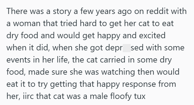 There was a story a few years ago on reddit with a woman that tried hard to get her cat to eat dry food and would get happy and excited when it did, when she got depr_sed with some events in her life, the cat carried in some dry food, made sure she was watching then would eat it to try getting that happy response from her, iirc that cat was a male floofy tux
