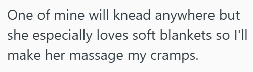 One of mine will knead anywhere but she especially loves soft blankets so I'll make her massage my cramps.