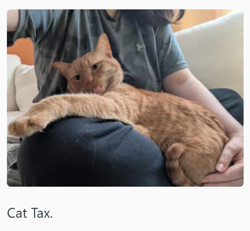 Cat Tax.