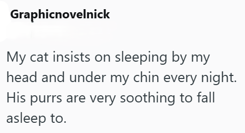 Graphicnovelnick My cat insists on sleeping by my head and under my chin every night. His purrs are very soothing to fall asleep to.