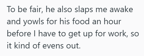 To be fair, he also slaps me awake and yowls for his food an hour before I have to get up for work, so it kind of evens out.