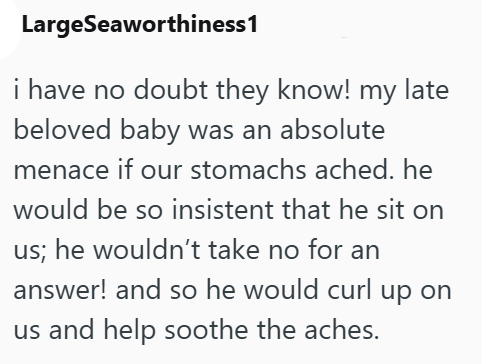 LargeSeaworthiness1 i have no doubt they know! my late beloved baby was an absolute menace if our stomachs ached. he would be so insistent that he sit on us; he wouldn't take no for an answer! and so he would curl up on us and help soothe the aches.