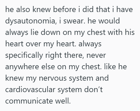 he also knew before i did that i have dysautonomia, i swear. he would always lie down on my chest with his heart over my heart. always specifically right there, never anywhere else on my chest. like he knew my nervous system and cardiovascular system don't communicate well.