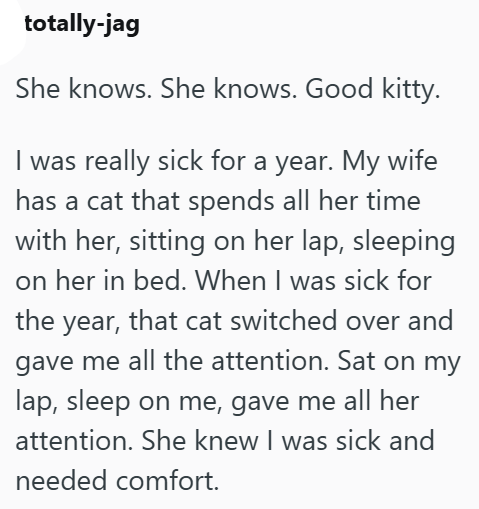 totally-jag She knows. She knows. Good kitty. I was really sick for a year. My wife has a cat that spends all her time with her, sitting on her lap, sleeping on her in bed. When I was sick for the year, that cat switched over and gave me all the attention. Sat on my lap, sleep on me, gave me all her attention. She knew I was sick and needed comfort.