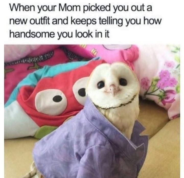 When your Mom picked you out a new outfit and keeps telling you how handsome you look in it
