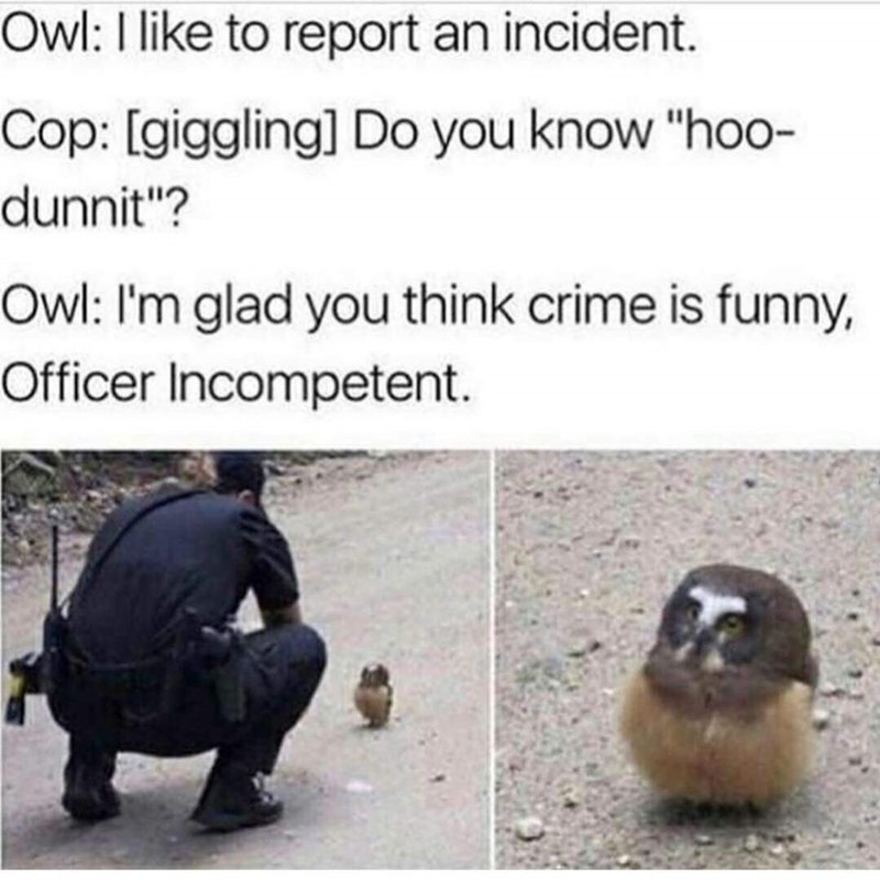 Owl: I like to report an incident. Cop: [giggling] Do you know "hoo- dunnit"? Owl: I'm glad you think crime is funny, Officer Incompetent.