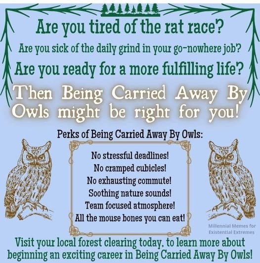 Are Are you tired of the rat race? you sick of the daily grind in your go-nowhere job? Are you ready for a more fulfilling life? Then Being Carried Away By Owls might be right for you! Perks of Being Carried Away By Owls: No stressful deadlines! No cramped cubicles! No exhausting commute! Soothing nature sounds! Team focused atmosphere! All the mouse bones you can eat! Millennial Memes for Existential Extremes Visit your local forest clearing today, to learn more about beginning an exciting care
