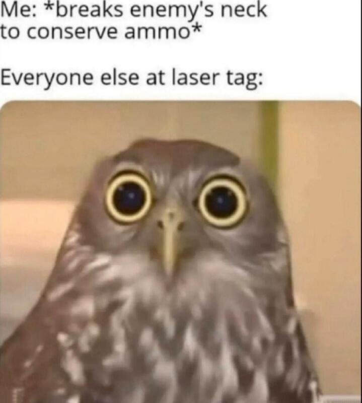 Me: *breaks enemy's neck to conserve ammo* Everyone else at laser tag: