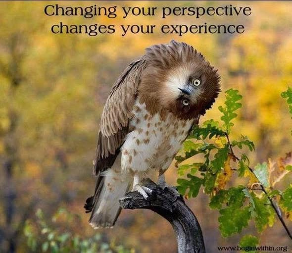 Changing your perspective changes your experience www.beginwithin.org