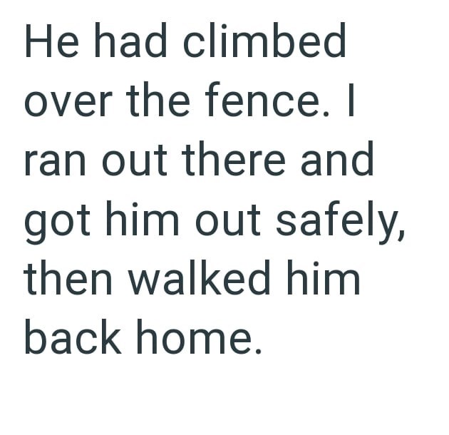 He had climbed over the fence. I ran out there and got him out safely, then walked him back home.