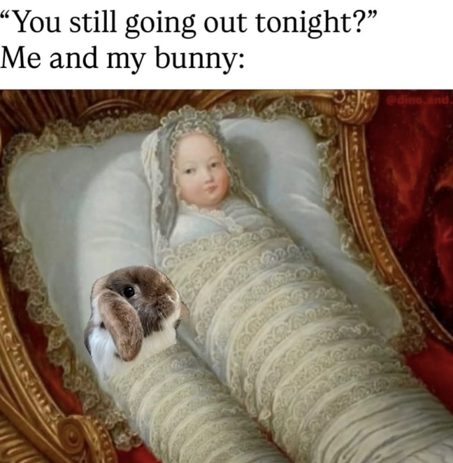 "You still going out tonight?" Me and my bunny: @dino.and.