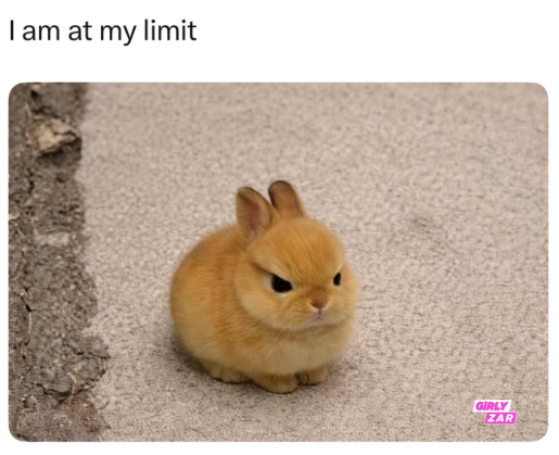 I am at my limit GIRLY ZAR