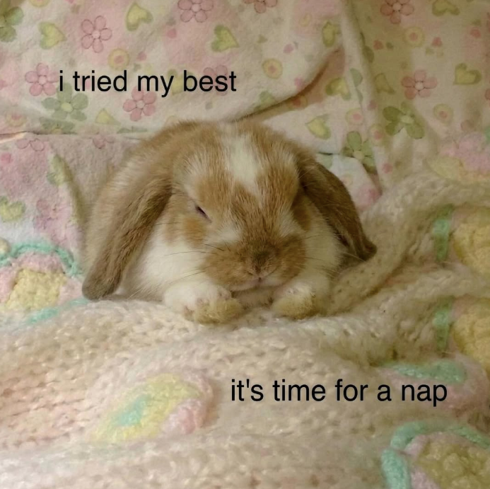 i tried my best it's time for a nap