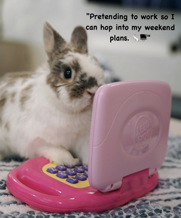 Cheezburger Image 10620862464