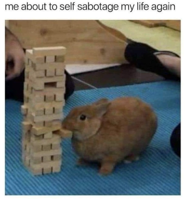 me about to self sabotage my life again