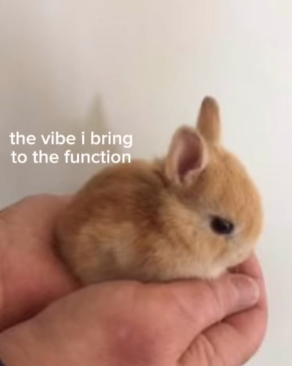 the vibe i bring to the function