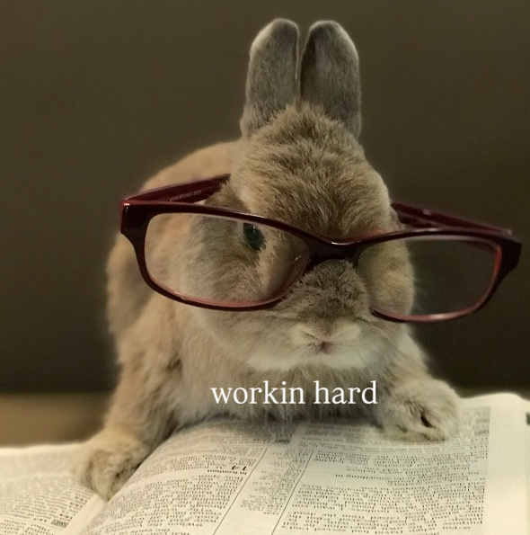 de ** workin hard ma