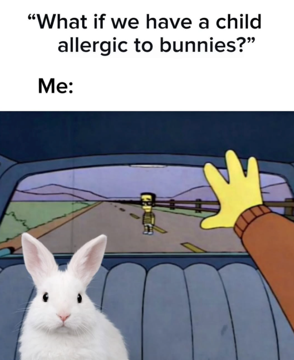 "What if we have a child allergic to bunnies?" Me: