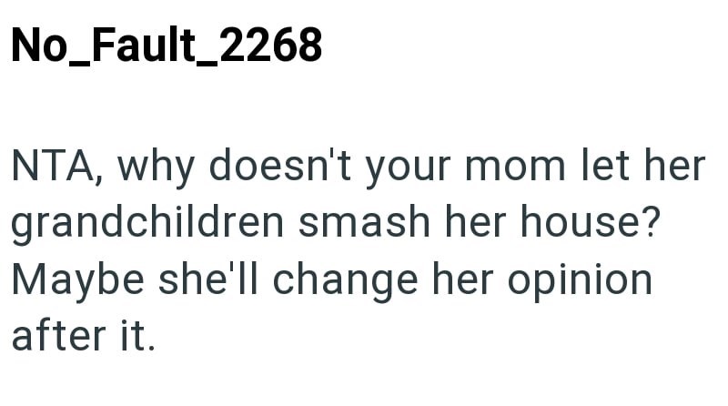 No_Fault_2268 NTA, why doesn't your mom let her grandchildren smash her house? Maybe she'll change her opinion after it.