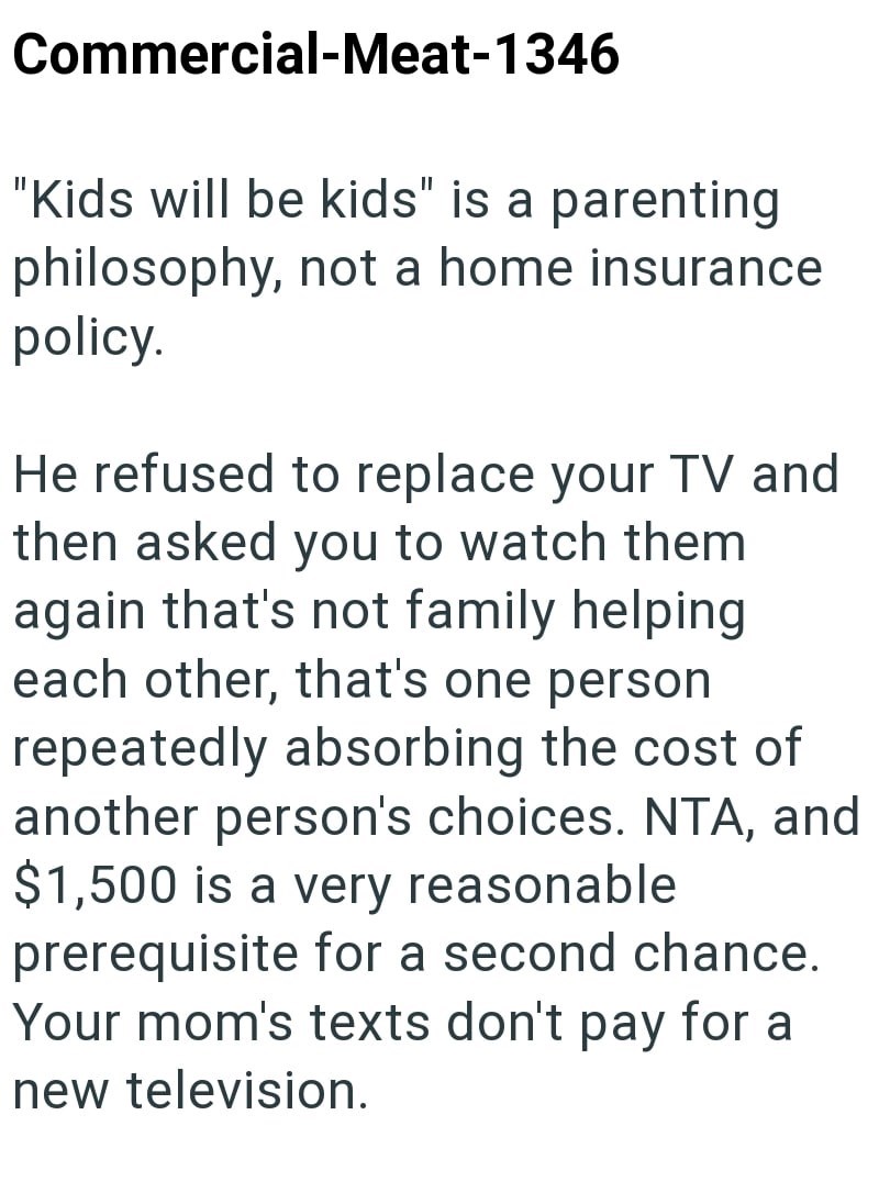 Commercial-Meat-1346 "Kids will be kids" is a parenting philosophy, not a home insurance policy. He refused to replace your TV and then asked you to watch them again that's not family helping each other, that's one person repeatedly absorbing the cost of another person's choices. NTA, and $1,500 is a very reasonable prerequisite for a second chance. Your mom's texts don't pay for a new television.