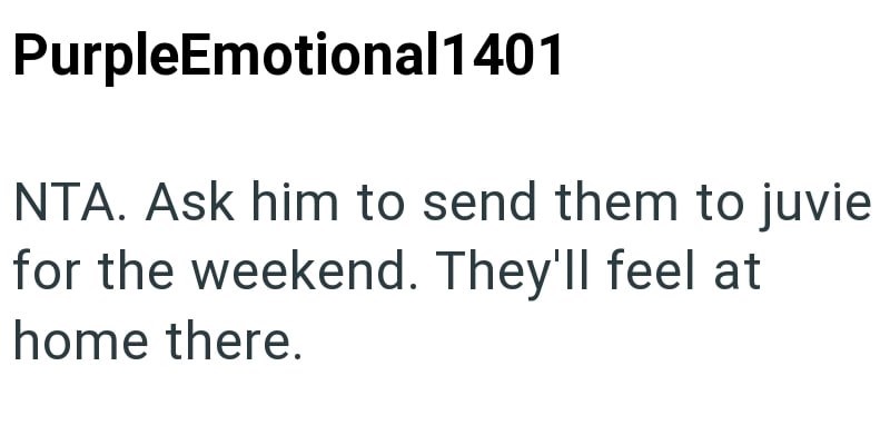 PurpleEmotional1401 NTA. Ask him to send them to juvie for the weekend. They'll feel at home there.