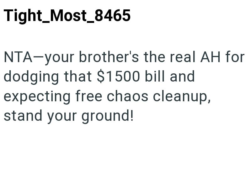 Tight_Most_8465 NTA-your brother's the real AH for dodging that $1500 bill and expecting free chaos cleanup, stand your ground!