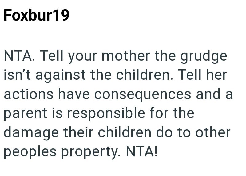 Foxbur19 NTA. Tell your mother the grudge isn't against the children. Tell her actions have consequences and a parent is responsible for the damage their children do to other peoples property. NTA!