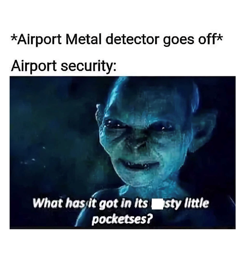 *Airport Metal detector goes off* Airport security: What has it got in its sty little pocketses?