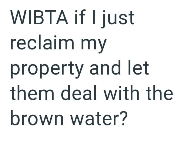 WIBTA if I just reclaim my property and let them deal with the brown water?