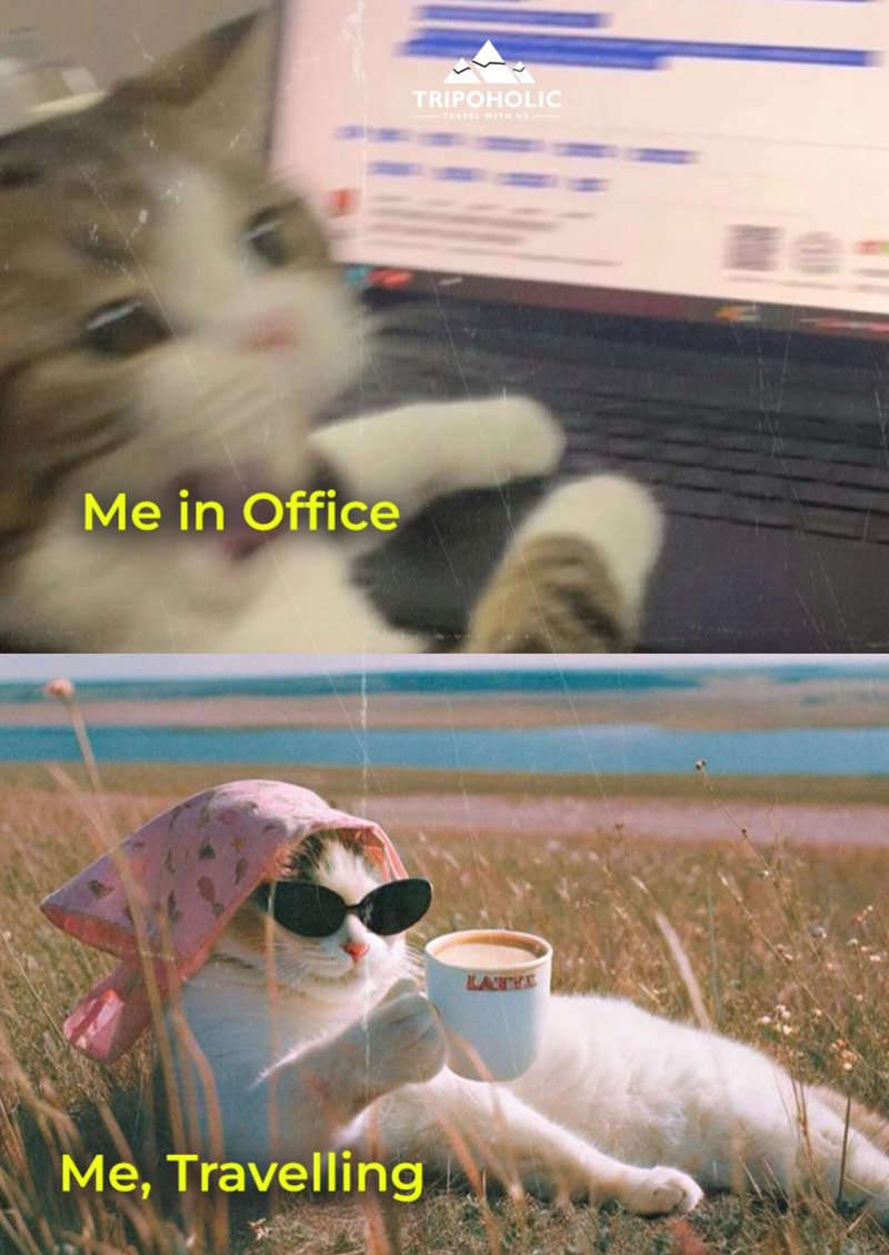 Me in Office Me, Travelling TRIPOHOLIC TRAVEL WITH US LATE