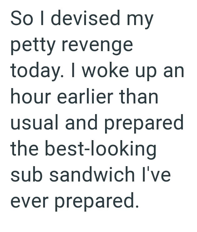 So I devised my petty revenge today. I woke up an hour earlier than usual and prepared the best-looking sub sandwich I've ever prepared.