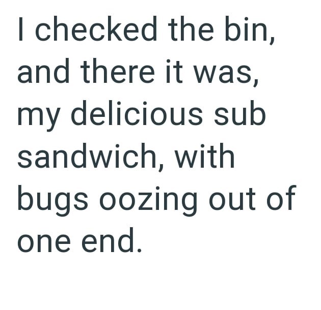 I checked the bin, and there it was, my delicious sub sandwich, with bugs oozing out of one end.