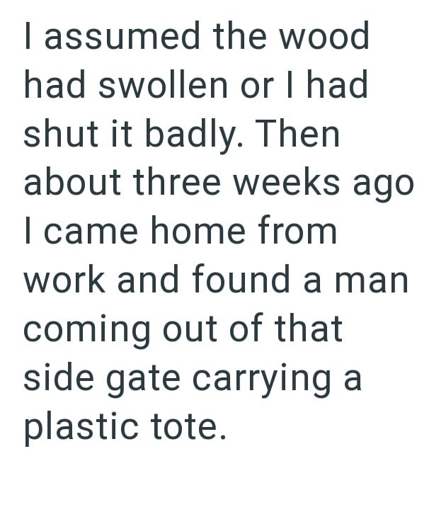 I assumed the wood had swollen or I had shut it badly. Then about three weeks ago I came home from work and found a man coming out of that side gate carrying a plastic tote.